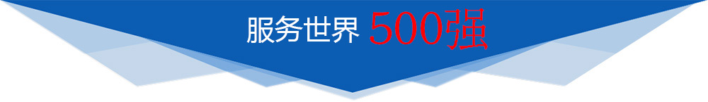 服務世界500強